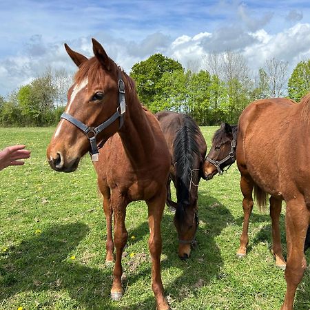 La Longere Du Haras Apartment Manerbe ภายนอก รูปภาพ