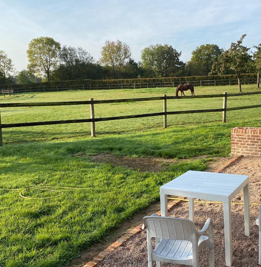 La Longere Du Haras Apartment Manerbe ภายนอก รูปภาพ