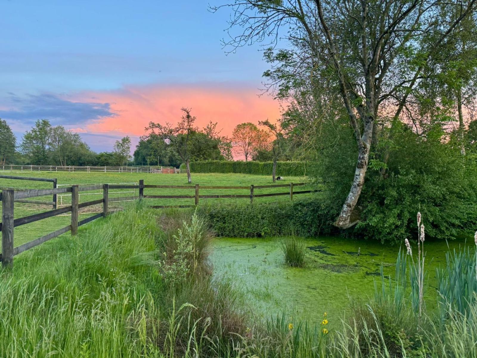 La Longere Du Haras Apartment Manerbe ภายนอก รูปภาพ