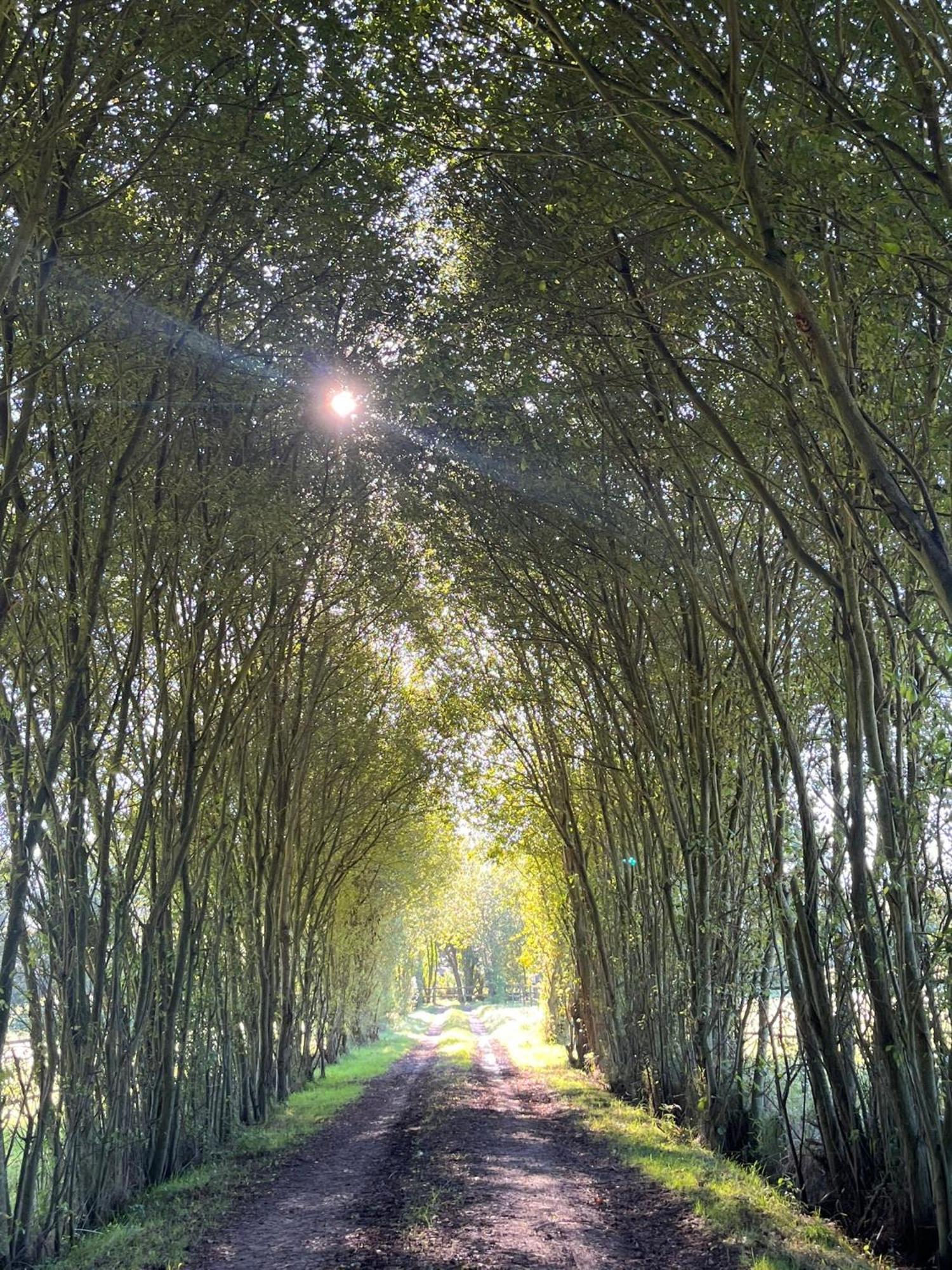 La Longere Du Haras Apartment Manerbe ภายนอก รูปภาพ