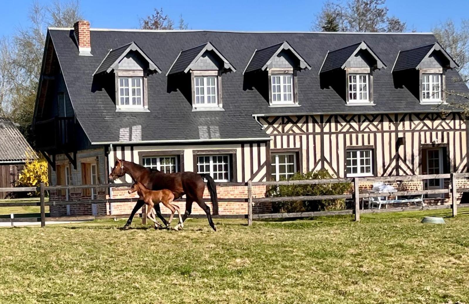 La Longere Du Haras Apartment Manerbe ภายนอก รูปภาพ